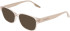 Converse CV5148 sunglasses in Crystal Classic Ecru
