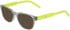 Converse CV9006Y sunglasses in Crystal Classic Grey