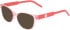 Converse CV9007Y sunglasses in Crystal Ok Bloomer