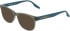 Converse CV9011Y sunglasses in Crystal Converse Utility