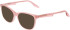 Converse CV9013Y sunglasses in Milky Blush Laminate
