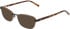 DKNY DK1039 sunglasses in Satin Black