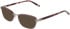 DKNY DK1039 sunglasses in Satin Gunmetal