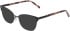 DKNY DK1041 sunglasses in Black