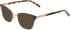 DKNY DK1041 sunglasses in Black/Champagne