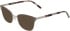 DKNY DK1041 sunglasses in Gunmetal