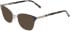 DKNY DK1041 sunglasses in Navy