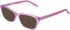 DKNY DK5084 sunglasses in Crystal Violet