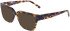 DKNY DK5087 sunglasses in Cobalt Tortoise