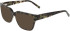 DKNY DK5087 sunglasses in Olive Tortoise