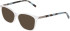 DKNY DK5090-53 sunglasses in Crystal Clear