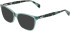 DKNY DK5097-50 sunglasses in Sage