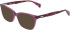 DKNY DK5097-50 sunglasses in Violet
