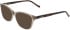 DKNY DK5100 sunglasses in Crystal Sand