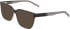 DKNY DK5101 sunglasses in Black Tortoise