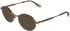 Karl Lagerfeld KL369 sunglasses in Amber Gold/Brown