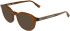 Karl Lagerfeld KL6235 sunglasses in Caramel