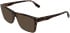 Karl Lagerfeld KL6258-57 sunglasses in Dark Tortoise