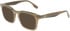 Karl Lagerfeld KL6280 sunglasses in Striped Khaki