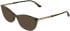 Lacoste L2999 sunglasses in Khaki