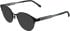 Lacoste L3115 sunglasses in Matte Black