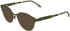 Lacoste L3115 sunglasses in Matte Khaki