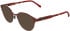Lacoste L3115 sunglasses in Matte Burgundy