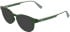 Lacoste L3666 sunglasses in Transparent Khaki Lumi