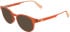 Lacoste L3666 sunglasses in Transparent Orange Lumi