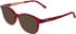 Lacoste L3667 sunglasses in Transparent Red