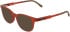 Lacoste L3669-46 sunglasses in Transparent Orange Lumi