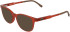 Lacoste L3669-49 sunglasses in Transparent Orange Lumi