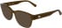 Lacoste L4012 sunglasses in Transparent Brown