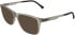Lacoste L4013-55 sunglasses in Transparent Sand