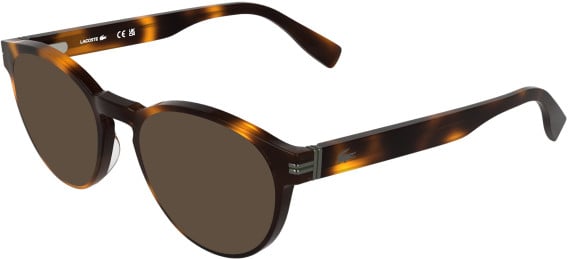 Lacoste L4023 sunglasses in Havana
