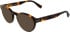 Lacoste L4023 sunglasses in Havana