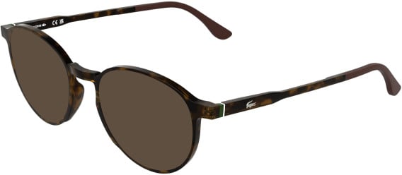 Lacoste L4027 sunglasses in Havana