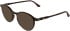 Lacoste L4027 sunglasses in Havana