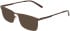 Marchon NYC M-2043 sunglasses in Matte Brown