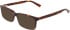 Marchon NYC M-3034 sunglasses in Tortoise