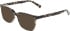 Marchon NYC M-3035 sunglasses in Grey Tortoise