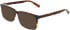 Marchon NYC M-3036 sunglasses in Tortoise