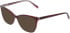 Marchon NYC M-5048 sunglasses in Ruby Laminate