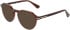 Marchon NYC M-8519 sunglasses in Dark Brown Horn