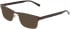 NIKE 1002-60 sunglasses in Matte Baroque Brown/Mocha