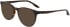 NIKE 5057 N sunglasses in Dark Tortoise
