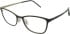 Blackfin BF863 glasses in Brown/Gold
