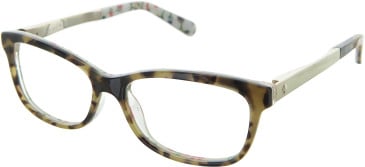 Kate Spade ANGELISA glasses in Tortoise/Floral