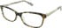 Kate Spade ANGELISA glasses in Tortoise/Floral