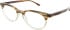 SALT. GARLAND51 glasses in Brown